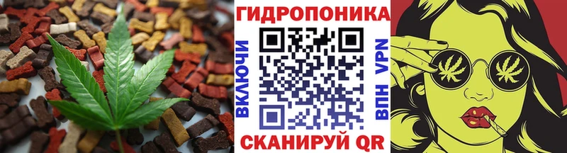 Cannafood конопля Дзержинск