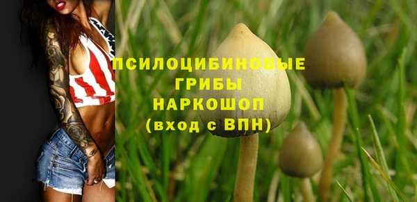 марки lsd Дмитриев
